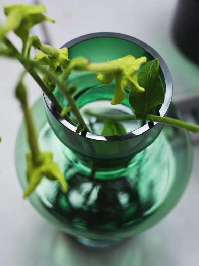 Ваза Florum, 25 см, изумрудная