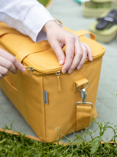 Термосумка для пикника Smart Picnic, L, горчичная