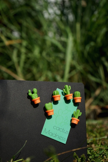 Набор магнитов Cactus, 6 шт.