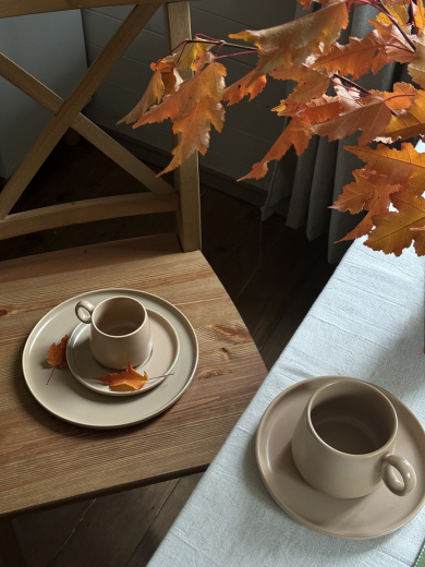 Набор из двух тарелок бежевого цвета из коллекции Essential, 25 см