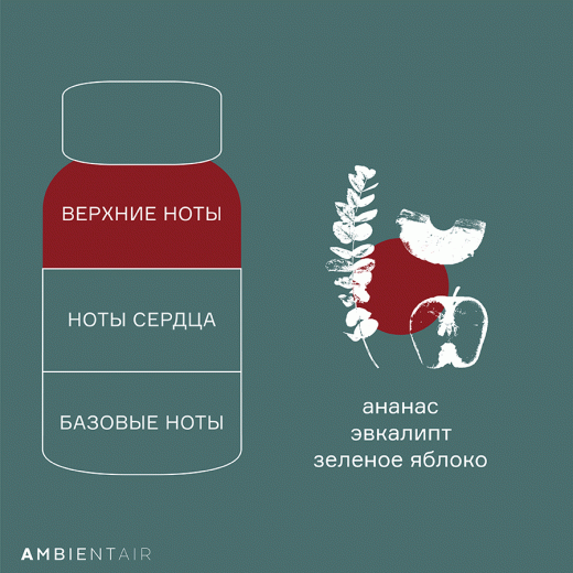 Диффузор ароматический Gifting, Cinnamon&Apple, 100 мл