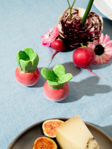 Набор из солонки и перечницы Radish