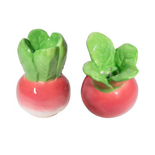 Набор из солонки и перечницы Radish