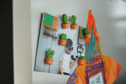 Набор магнитов Cactus, 6 шт.