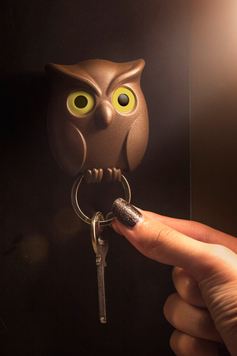 Держатель для ключей Night Owl, коричневый