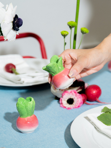 Набор из солонки и перечницы Radish