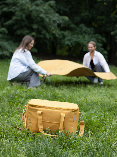 Термосумка для пикника Smart Picnic, L, горчичная