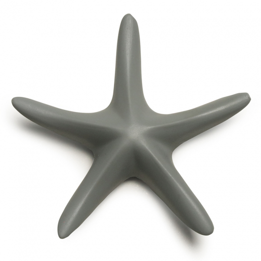 Магнит Sea Star